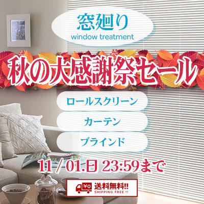 窓まわり!! ロールスクリーン・カーテン・ブラインド秋の大感謝祭セール!! 絶賛開催中!! 11/01.日 23:59まで!!